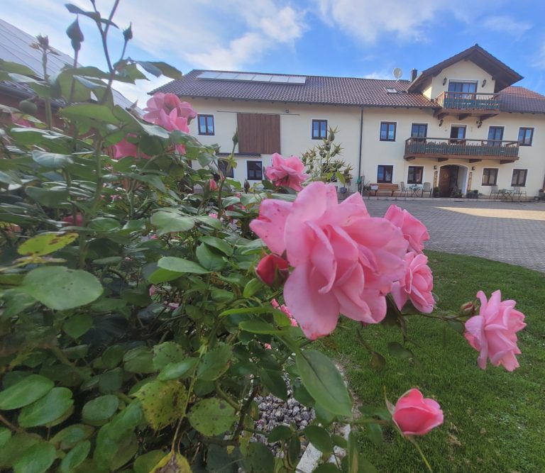 weber-hof-ansicht Rosa Blumen vor einem Gebäude mit klar blauem Himmel im Hintergrund.